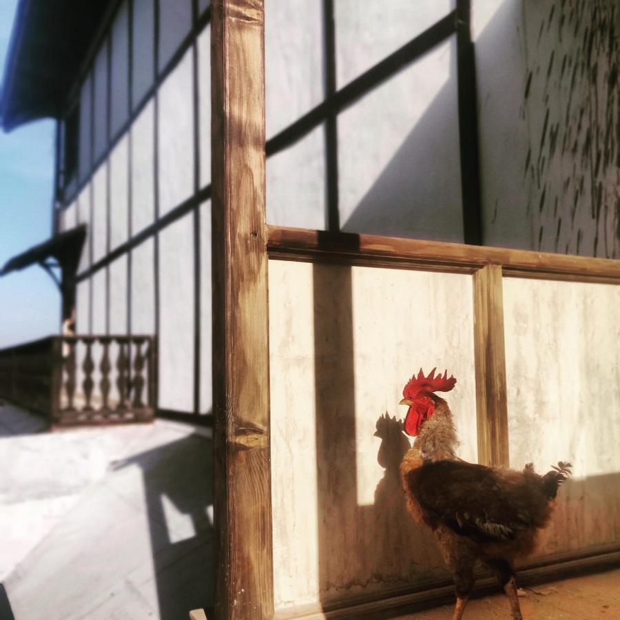 シムラー Sugar Cube Retreatホステル エクステリア 写真